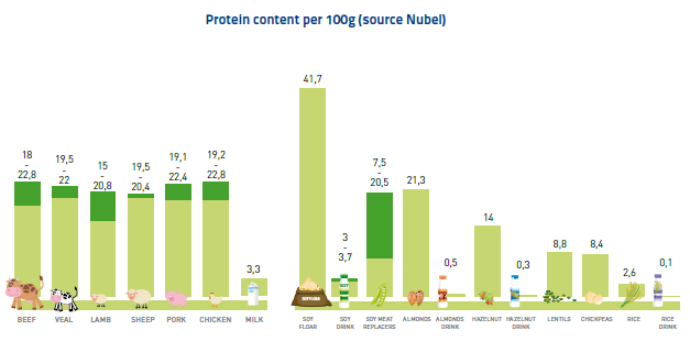chart_protein_content